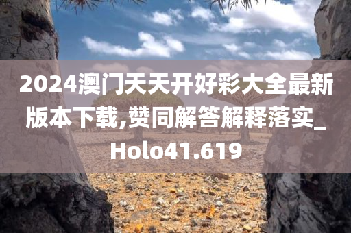 2024澳门天天开好彩大全最新版本下载,赞同解答解释落实_Holo41.619