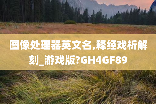 图像处理器英文名,释经戏析解刻_游戏版?GH4GF89