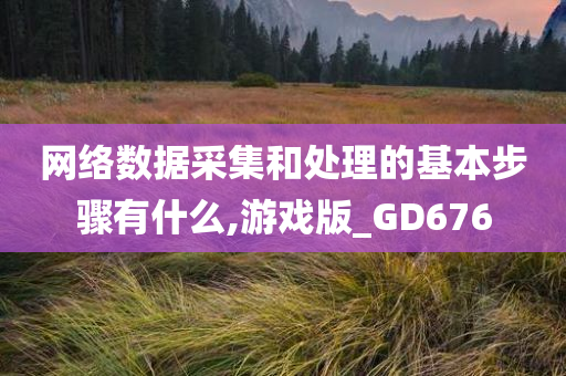 网络数据采集和处理的基本步骤有什么,游戏版_GD676