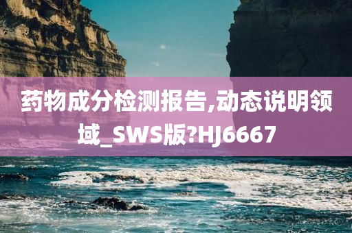 药物成分检测报告,动态说明领域_SWS版?HJ6667