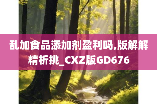 乱加食品添加剂盈利吗,版解解精析挑_CXZ版GD676