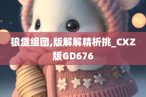 狼垡组团,版解解精析挑_CXZ版GD676