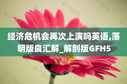 经济危机会再次上演吗英语,落明版良汇解_解剖版GFH5