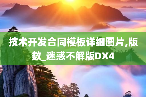 迷惑不解版DX4