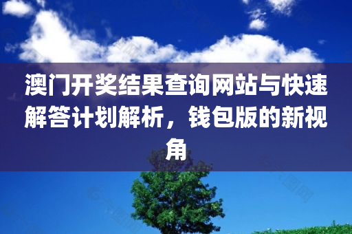 澳门开奖结果查询网站与快速解答计划解析，钱包版的新视角