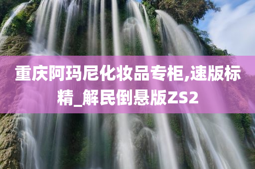 重庆阿玛尼化妆品专柜,速版标精_解民倒悬版ZS2