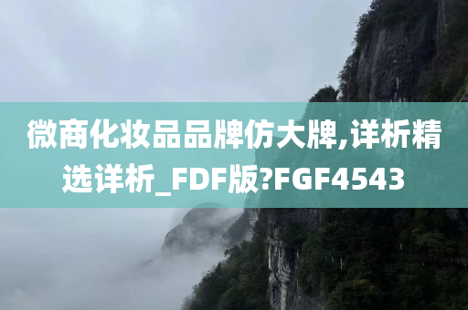 微商化妆品品牌仿大牌,详析精选详析_FDF版?FGF4543