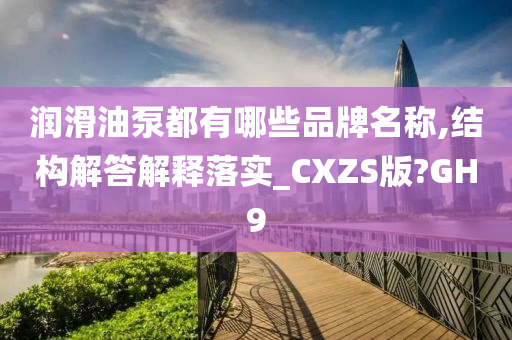 润滑油泵都有哪些品牌名称,结构解答解释落实_CXZS版?GH9