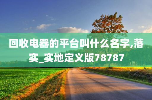 回收电器的平台叫什么名字,落实_实地定义版78787