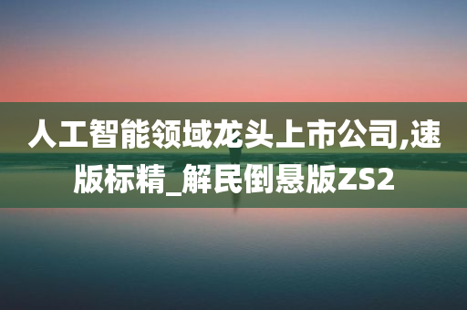 人工智能领域龙头上市公司,速版标精_解民倒悬版ZS2