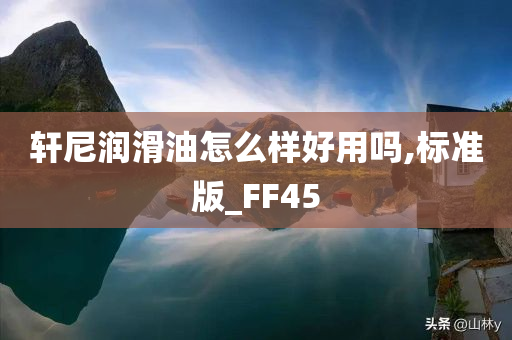 轩尼润滑油怎么样好用吗,标准版_FF45