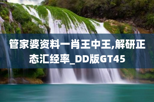 管家婆资料一肖王中王,解研正态汇经率_DD版GT45