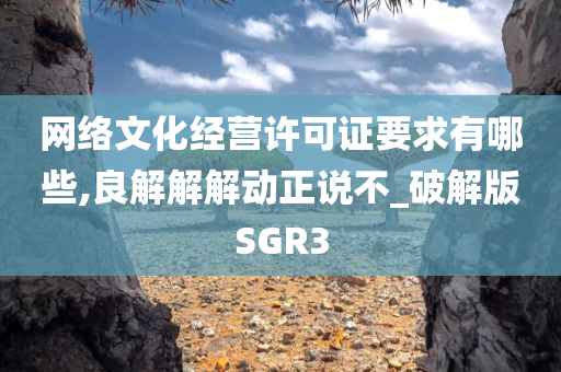 网络文化经营许可证要求有哪些,良解解解动正说不_破解版SGR3