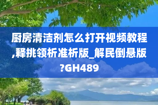 厨房清洁剂怎么打开视频教程,释挑领析准析版_解民倒悬版?GH489