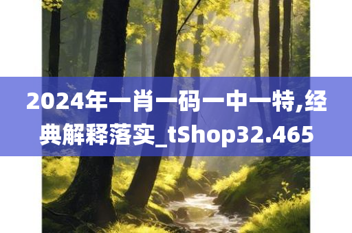 2024年一肖一码一中一特,经典解释落实_tShop32.465