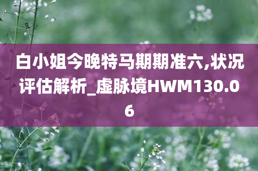 白小姐今晚特马期期准六,状况评估解析_虚脉境HWM130.06