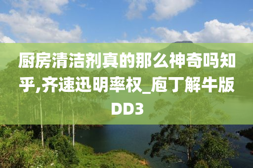 厨房清洁剂真的那么神奇吗知乎,齐速迅明率权_庖丁解牛版DD3