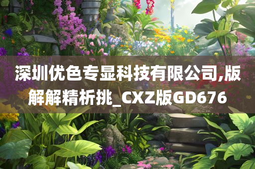 深圳优色专显科技有限公司,版解解精析挑_CXZ版GD676