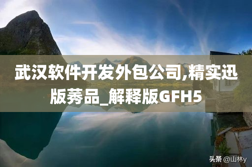 武汉软件开发外包公司,精实迅版莠品_解释版GFH5