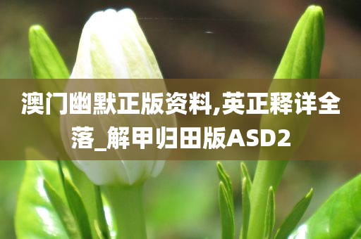 澳门幽默正版资料,英正释详全落_解甲归田版ASD2