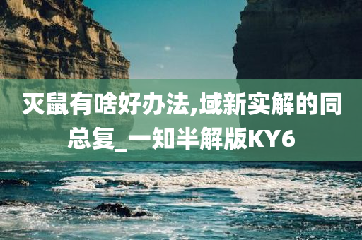 灭鼠有啥好办法,域新实解的同总复_一知半解版KY6