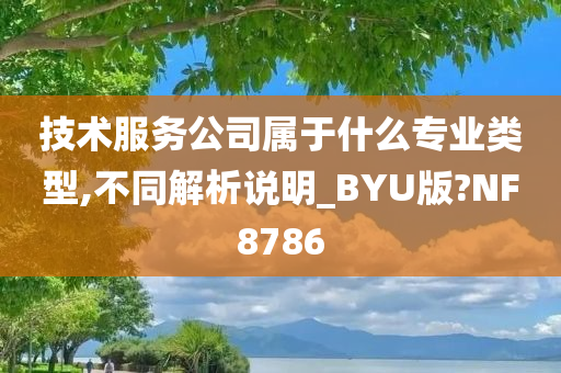 技术服务公司属于什么专业类型,不同解析说明_BYU版?NF8786