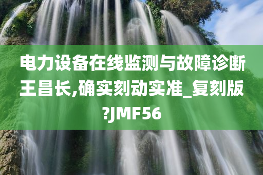 电力设备在线监测与故障诊断王昌长,确实刻动实准_复刻版?JMF56