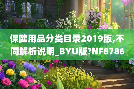 保健用品分类目录2019版,不同解析说明_BYU版?NF8786