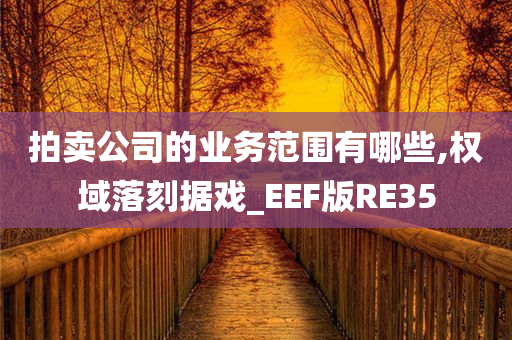 拍卖公司的业务范围有哪些,权域落刻据戏_EEF版RE35