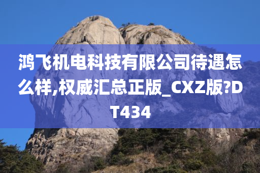 鸿飞机电科技有限公司待遇怎么样,权威汇总正版_CXZ版?DT434