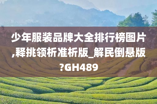 少年服装品牌大全排行榜图片,释挑领析准析版_解民倒悬版?GH489