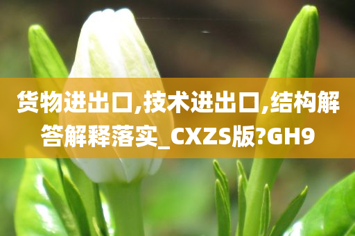 货物进出口,技术进出口,结构解答解释落实_CXZS版?GH9