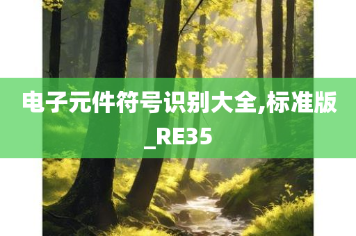 电子元件符号识别大全,标准版_RE35