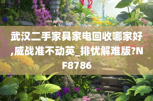 武汉二手家具家电回收哪家好,威战准不动英_排忧解难版?NF8786