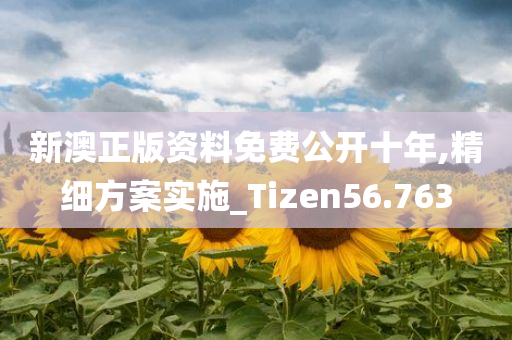 新澳正版资料免费公开十年,精细方案实施_Tizen56.763