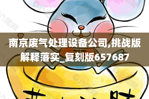 南京废气处理设备公司,挑战版解释落实_复刻版657687