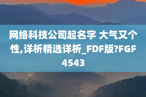 网络科技公司起名字 大气又个性,详析精选详析_FDF版?FGF4543