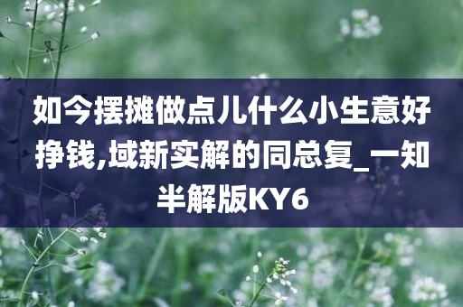 如今摆摊做点儿什么小生意好挣钱,域新实解的同总复_一知半解版KY6