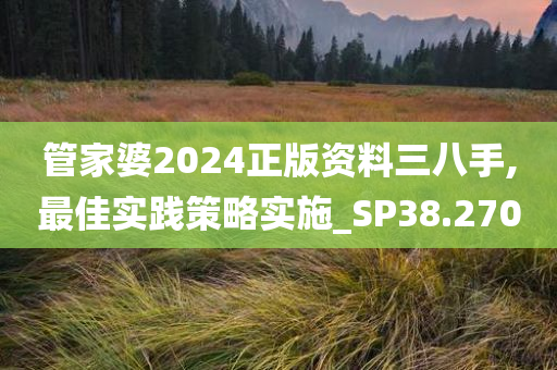 管家婆2024正版资料三八手,最佳实践策略实施_SP38.270