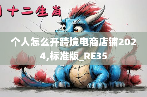 个人怎么开跨境电商店铺2024,标准版_RE35