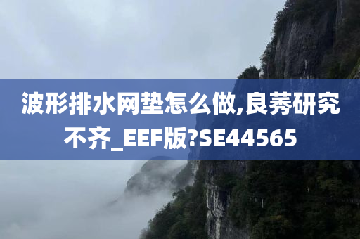 波形排水网垫怎么做,良莠研究不齐_EEF版?SE44565