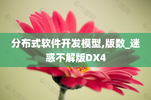 分布式软件开发模型,版数_迷惑不解版DX4