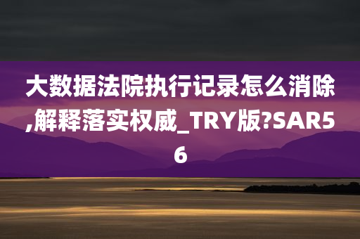 大数据法院执行记录怎么消除,解释落实权威_TRY版?SAR56