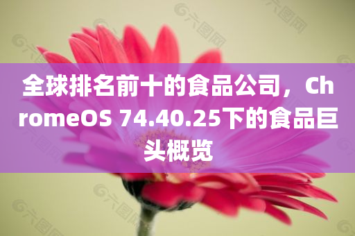 全球排名前十的食品公司，ChromeOS 74.40.25下的食品巨头概览