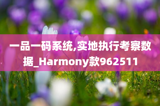 一品一码系统,实地执行考察数据_Harmony款962511