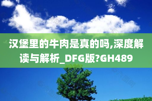 汉堡里的牛肉是真的吗,深度解读与解析_DFG版?GH489