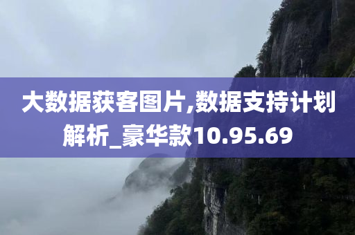 大数据获客图片,数据支持计划解析_豪华款10.95.69