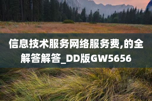 信息技术服务网络服务费,的全解答解答_DD版GW5656