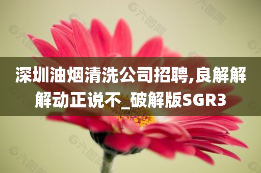 深圳油烟清洗公司招聘,良解解解动正说不_破解版SGR3