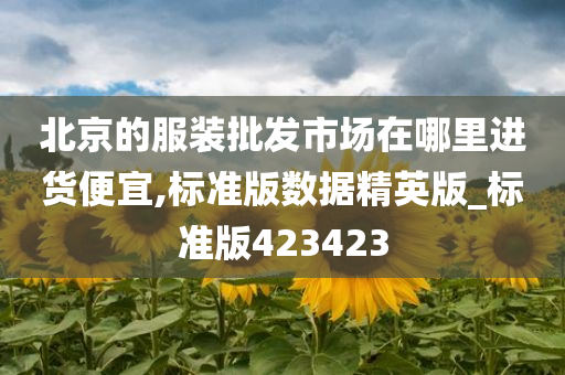 北京的服装批发市场在哪里进货便宜,标准版数据精英版_标准版423423